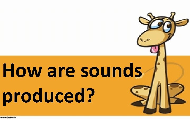 How are sounds produced? 