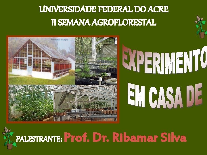 UNIVERSIDADE FEDERAL DO ACRE II SEMANA AGROFLORESTAL PALESTRANTE: Prof. Dr. Ribamar Silva 