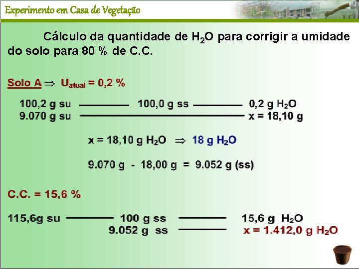 Experimento em Casa de Vegetação Cálculo da quantidade de H 2 O para corrigir