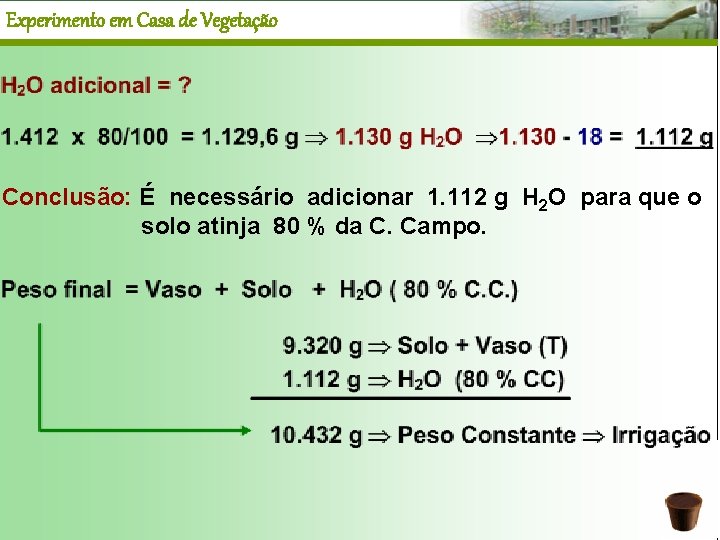 Experimento em Casa de Vegetação Conclusão: É necessário adicionar 1. 112 g H 2