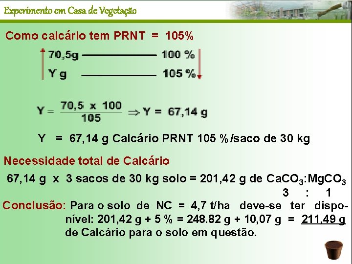Experimento em Casa de Vegetação Como calcário tem PRNT = 105% Y = 67,