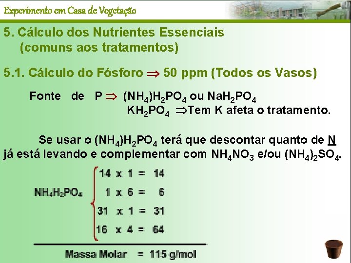 Experimento em Casa de Vegetação 5. Cálculo dos Nutrientes Essenciais (comuns aos tratamentos) 5.