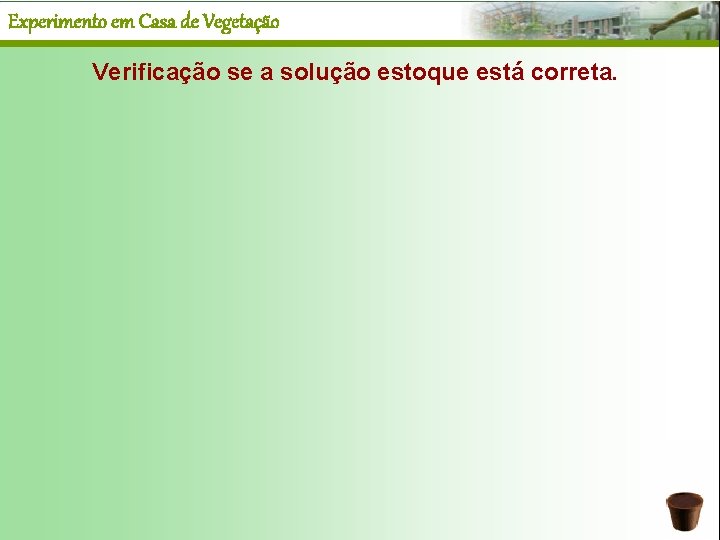 Experimento em Casa de Vegetação Verificação se a solução estoque está correta. 