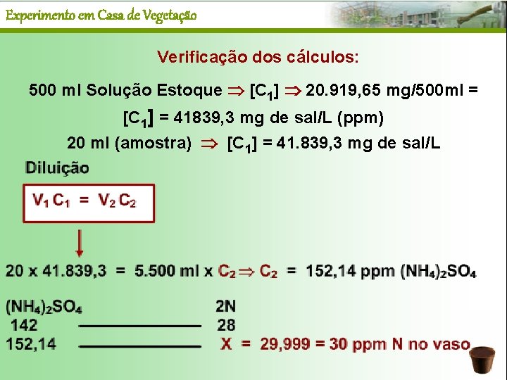 Experimento em Casa de Vegetação Verificação dos cálculos: 500 ml Solução Estoque [C 1]