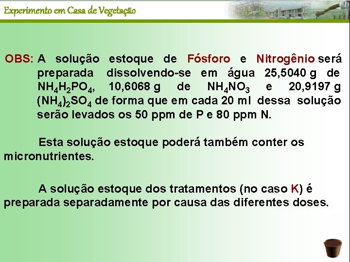 Experimento em Casa de Vegetação OBS: A solução estoque de Fósforo e Nitrogênio será