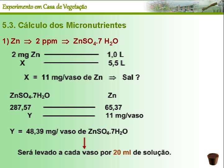 Experimento em Casa de Vegetação 5. 3. Cálculo dos Micronutrientes 1) Zn 2 ppm