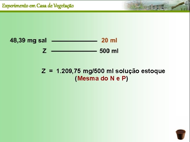 Experimento em Casa de Vegetação Z = 1. 209, 75 mg/500 ml solução estoque