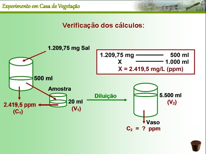 Experimento em Casa de Vegetação Verificação dos cálculos: 