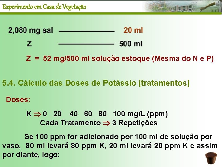 Experimento em Casa de Vegetação Z = 52 mg/500 ml solução estoque (Mesma do
