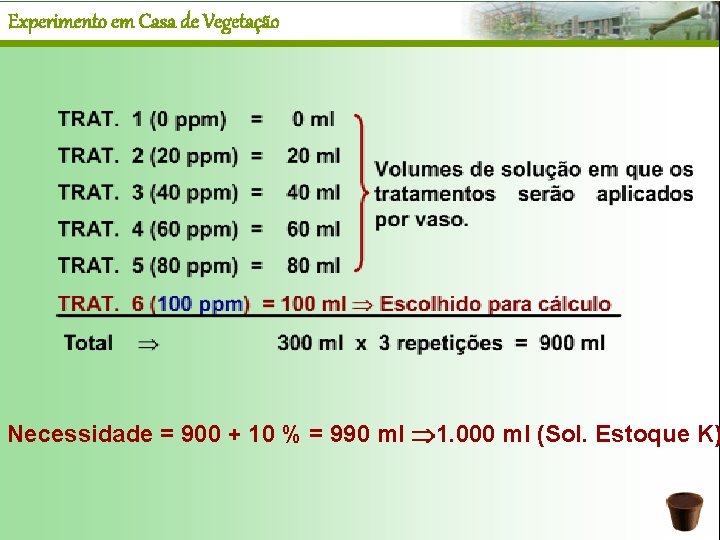 Experimento em Casa de Vegetação Necessidade = 900 + 10 % = 990 ml