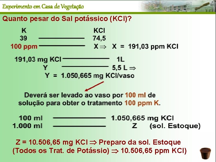 Experimento em Casa de Vegetação Quanto pesar do Sal potássico (KCl)? Z = 10.
