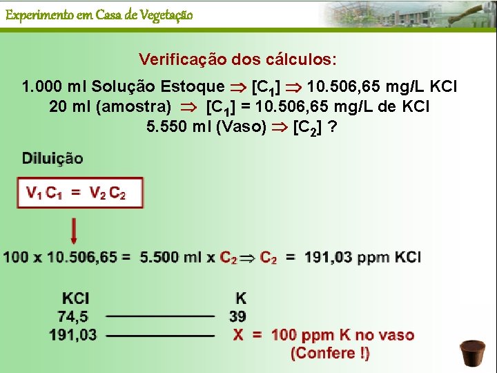 Experimento em Casa de Vegetação Verificação dos cálculos: 1. 000 ml Solução Estoque [C