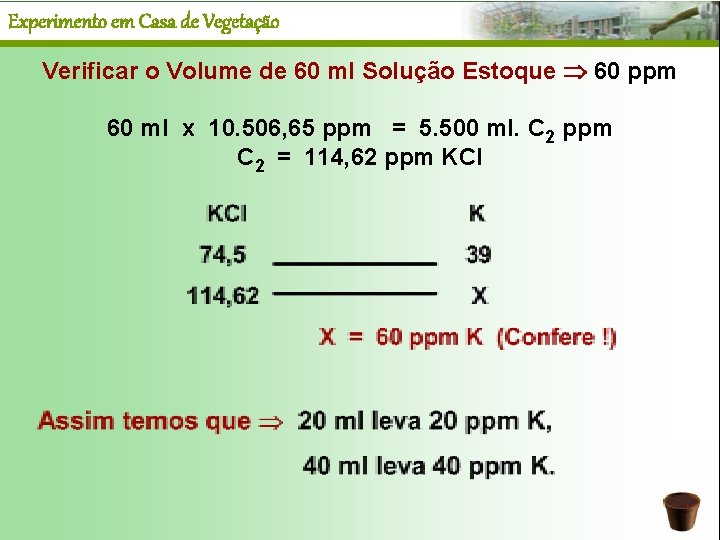 Experimento em Casa de Vegetação Verificar o Volume de 60 ml Solução Estoque 60