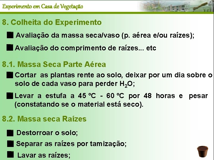 Experimento em Casa de Vegetação 8. Colheita do Experimento Avaliação da massa seca/vaso (p.