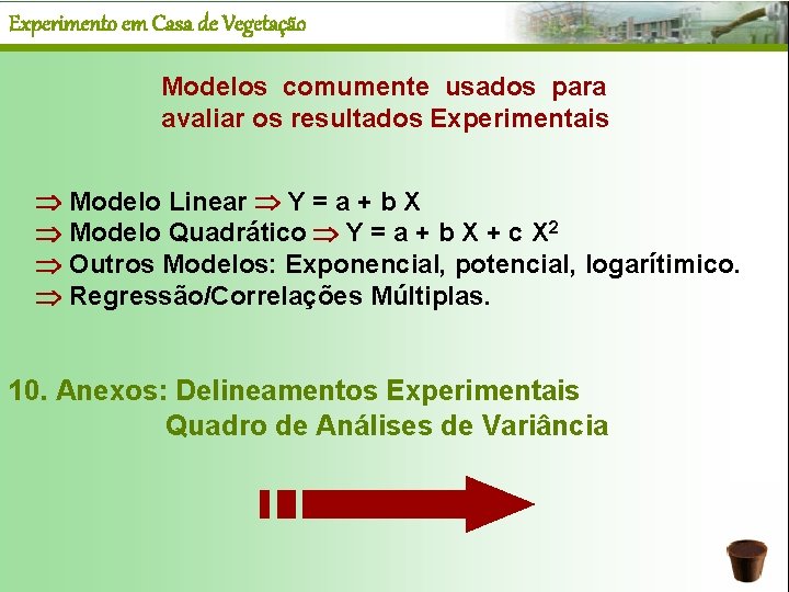 Experimento em Casa de Vegetação Modelos comumente usados para avaliar os resultados Experimentais Modelo