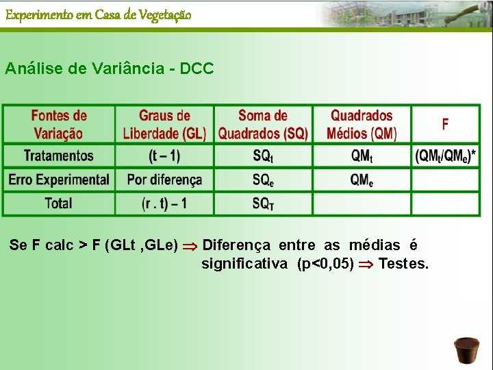 Experimento em Casa de Vegetação Análise de Variância - DCC Se F calc >