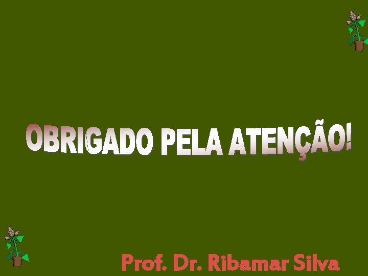 Prof. Dr. Ribamar Silva 