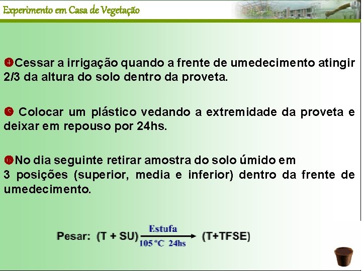 Experimento em Casa de Vegetação Cessar a irrigação quando a frente de umedecimento atingir