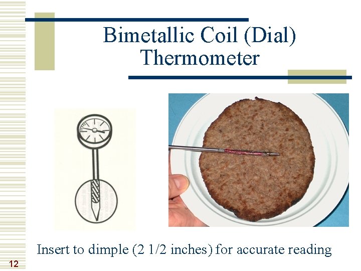 Bimetallic Coil (Dial) Thermometer Insert to dimple (2 1/2 inches) for accurate reading 12