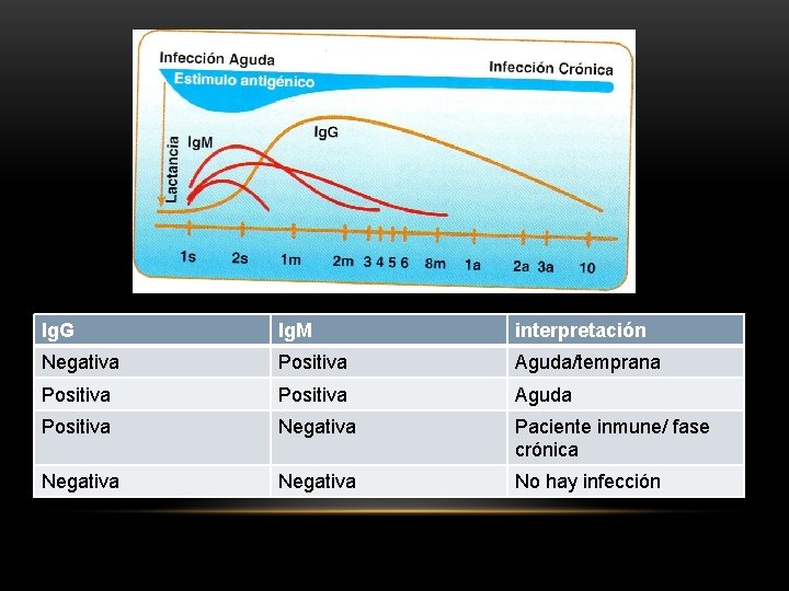Ig. G Ig. M interpretación Negativa Positiva Aguda/temprana Positiva Aguda Positiva Negativa Paciente inmune/