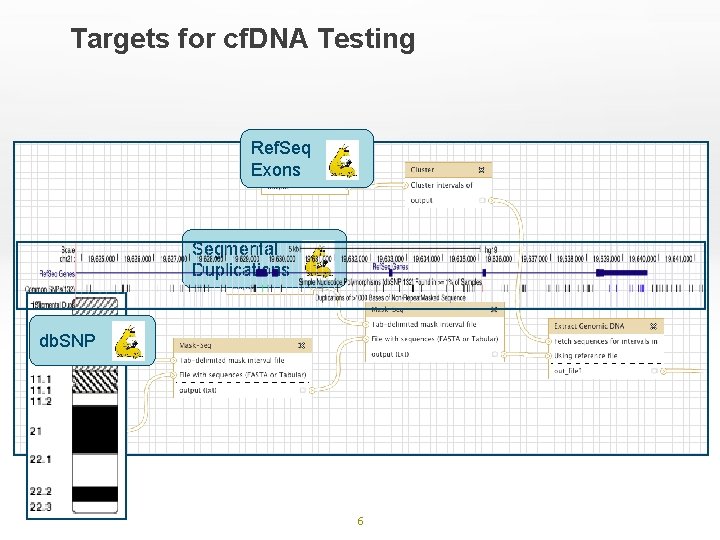 Targets for cf. DNA Testing Ref. Seq Exons Segmental Duplications db. SNP 6 