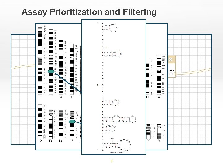 Assay Prioritization and Filtering 9 