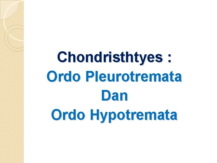 Chondristhtyes : Ordo Pleurotremata Dan Ordo Hypotremata 