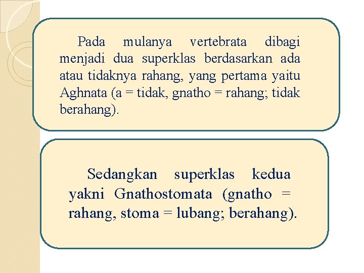 Pada mulanya vertebrata dibagi menjadi dua superklas berdasarkan ada atau tidaknya rahang, yang pertama