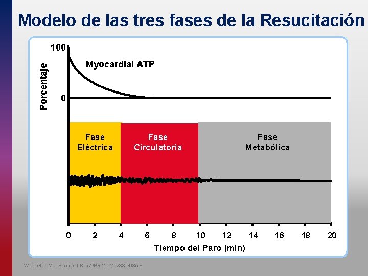 Modelo de las tres fases de la Resucitación Porcentaje 100 Myocardial ATP 0 Fase