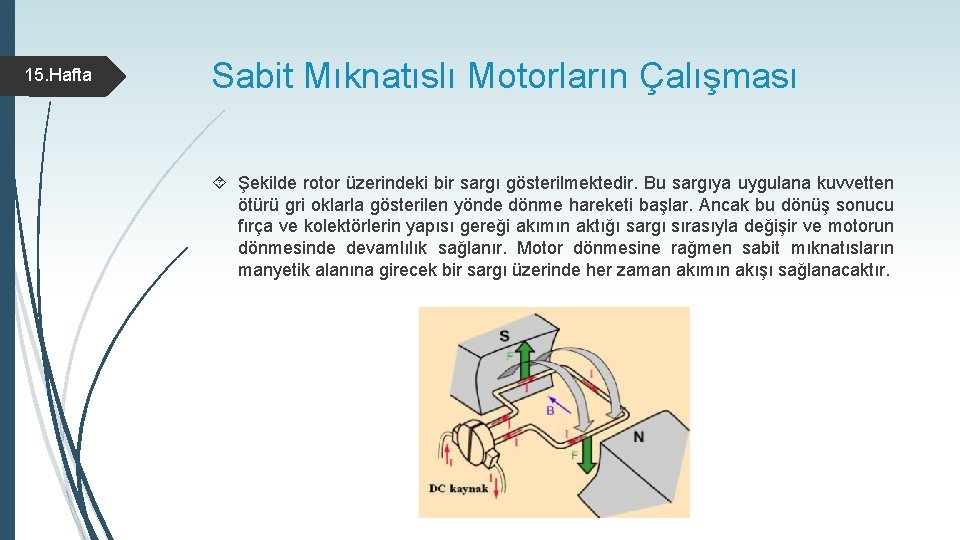 15. Hafta Sabit Mıknatıslı Motorların Çalışması Şekilde rotor üzerindeki bir sargı gösterilmektedir. Bu sargıya