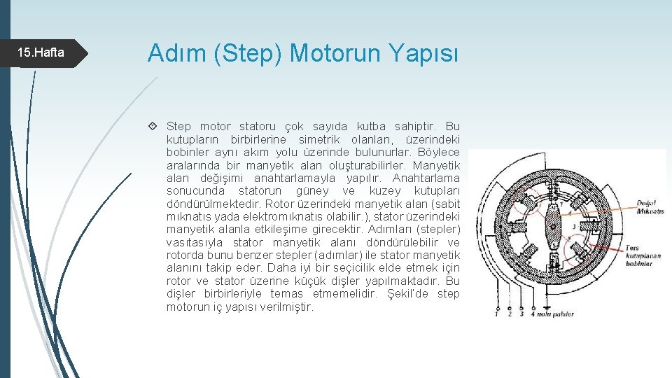 15. Hafta Adım (Step) Motorun Yapısı Step motor statoru çok sayıda kutba sahiptir. Bu