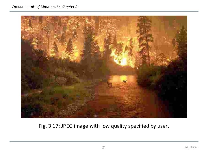 Fundamentals of Multimedia, Chapter 3 Fig. 3. 17: JPEG image with low quality specified