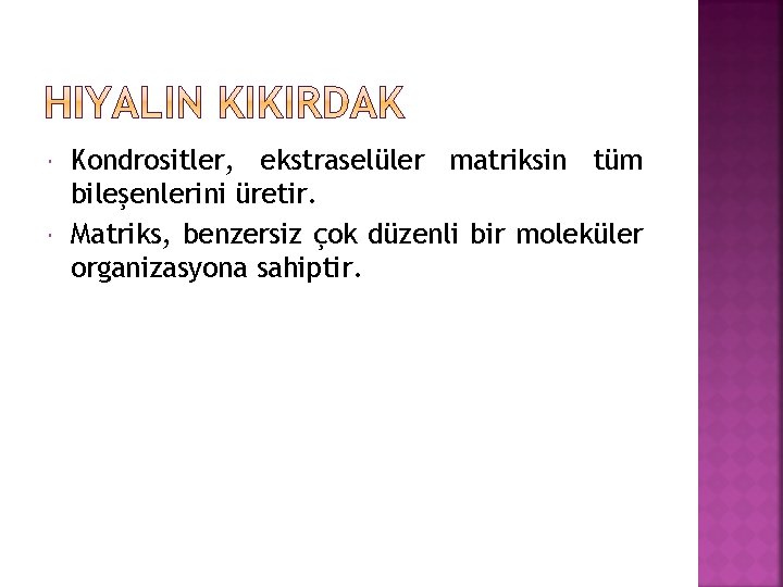  Kondrositler, ekstraselüler matriksin tüm bileşenlerini üretir. Matriks, benzersiz çok düzenli bir moleküler organizasyona