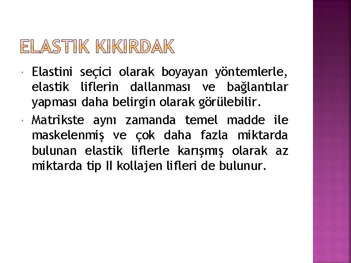  Elastini seçici olarak boyayan yöntemlerle, elastik liflerin dallanması ve bağlantılar yapması daha belirgin