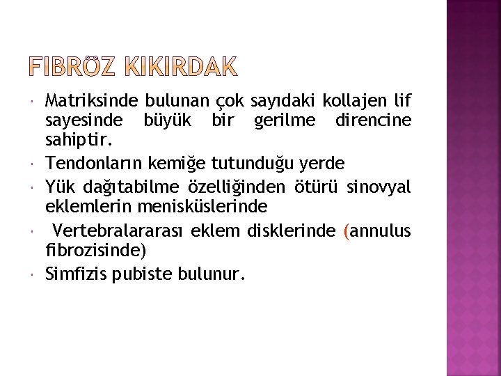  Matriksinde bulunan çok sayıdaki kollajen lif sayesinde büyük bir gerilme direncine sahiptir. Tendonların