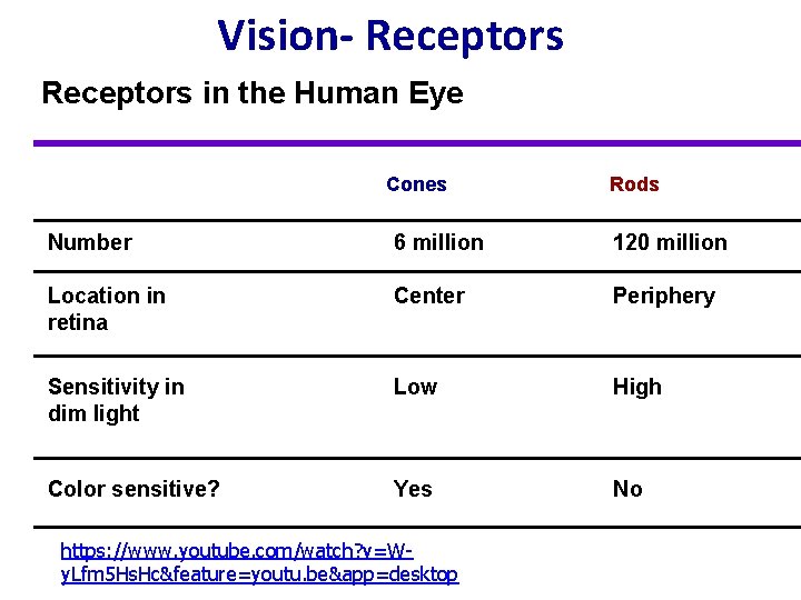 Vision- Receptors in the Human Eye Cones Rods Number 6 million 120 million Location