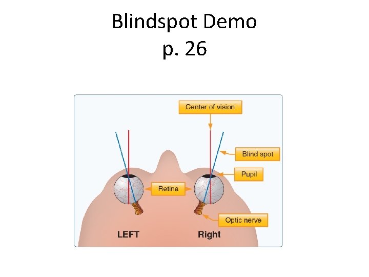 Blindspot Demo p. 26 