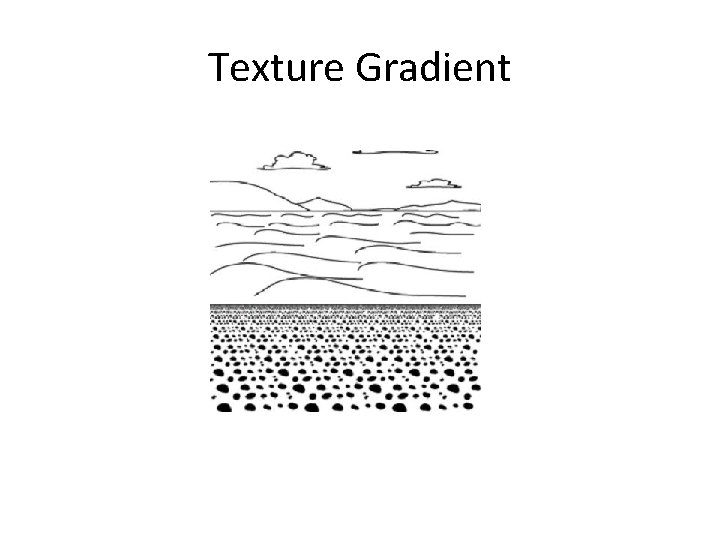 Texture Gradient 
