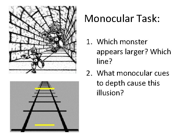 Monocular Task: 1. Which monster appears larger? Which line? 2. What monocular cues to