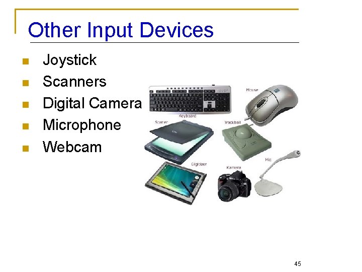 Other Input Devices n n n Joystick Scanners Digital Camera Microphone Webcam 45 