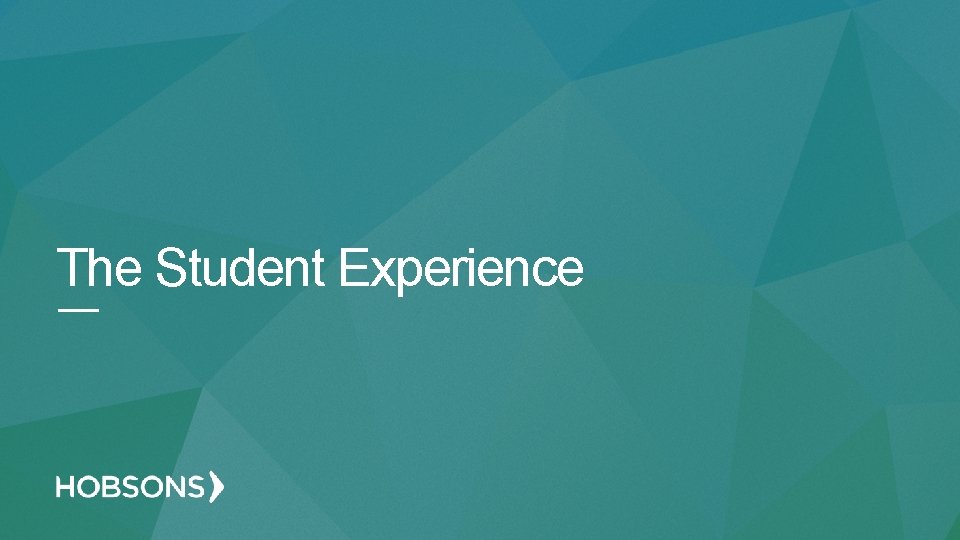 The Student Experience 