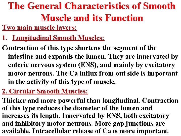 The General Characteristics of Smooth Muscle and its Function Two main muscle layers: 1. The General Characteristics of Smooth Muscle and its Function Two main muscle layers: 1.