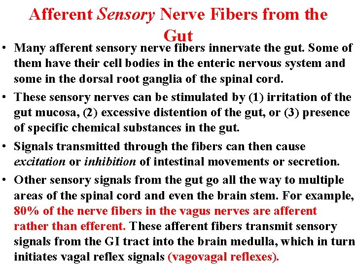 Afferent Sensory Nerve Fibers from the Gut • Many afferent sensory nerve fibers innervate Afferent Sensory Nerve Fibers from the Gut • Many afferent sensory nerve fibers innervate