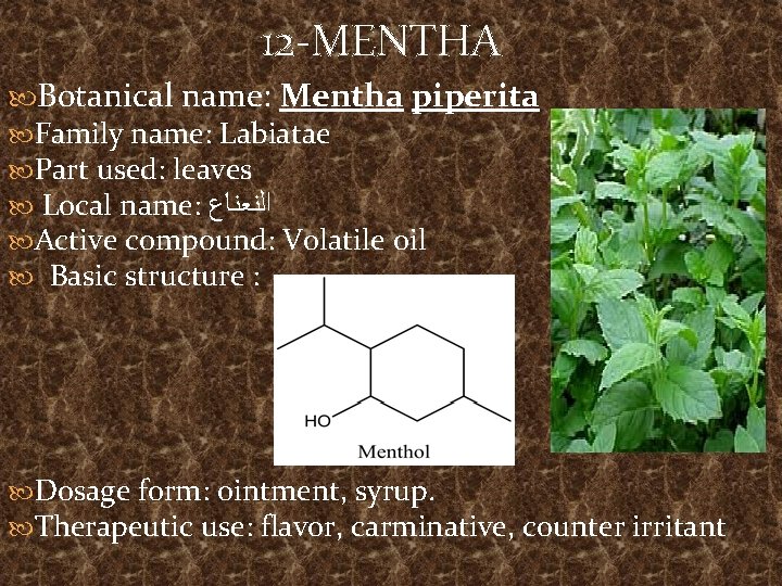 12 -MENTHA Botanical name: Mentha piperita Family name: Labiatae Part used: leaves Local name: