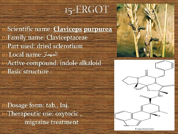 15 -ERGOT Scientific name: Claviceps purpurea Family name: Claviceptaceae Part used: dried sclerotium Local