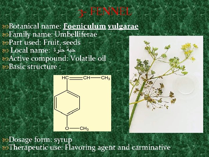 3 - FENNEL Botanical name: Foeniculum vulgarae Family name: Umbelliferae Part used: Fruit, seeds