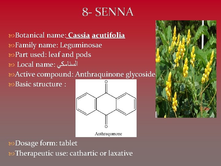 8 - SENNA Botanical name: Cassia acutifolia Family name: Leguminosae Part used: leaf and