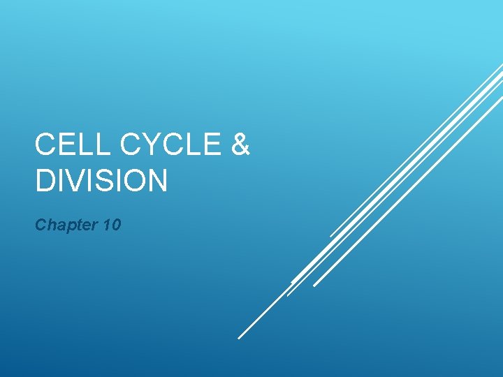 CELL CYCLE & DIVISION Chapter 10 