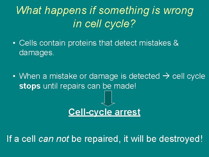 What happens if something is wrong in cell cycle? • Cells contain proteins that