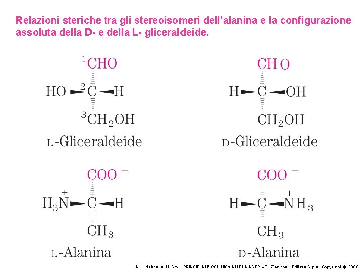 Relazioni steriche tra gli stereoisomeri dell’alanina e la configurazione assoluta della D- e della